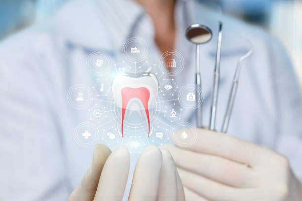 Best Dental Exams and Cleanings  in Woodland Park, CO